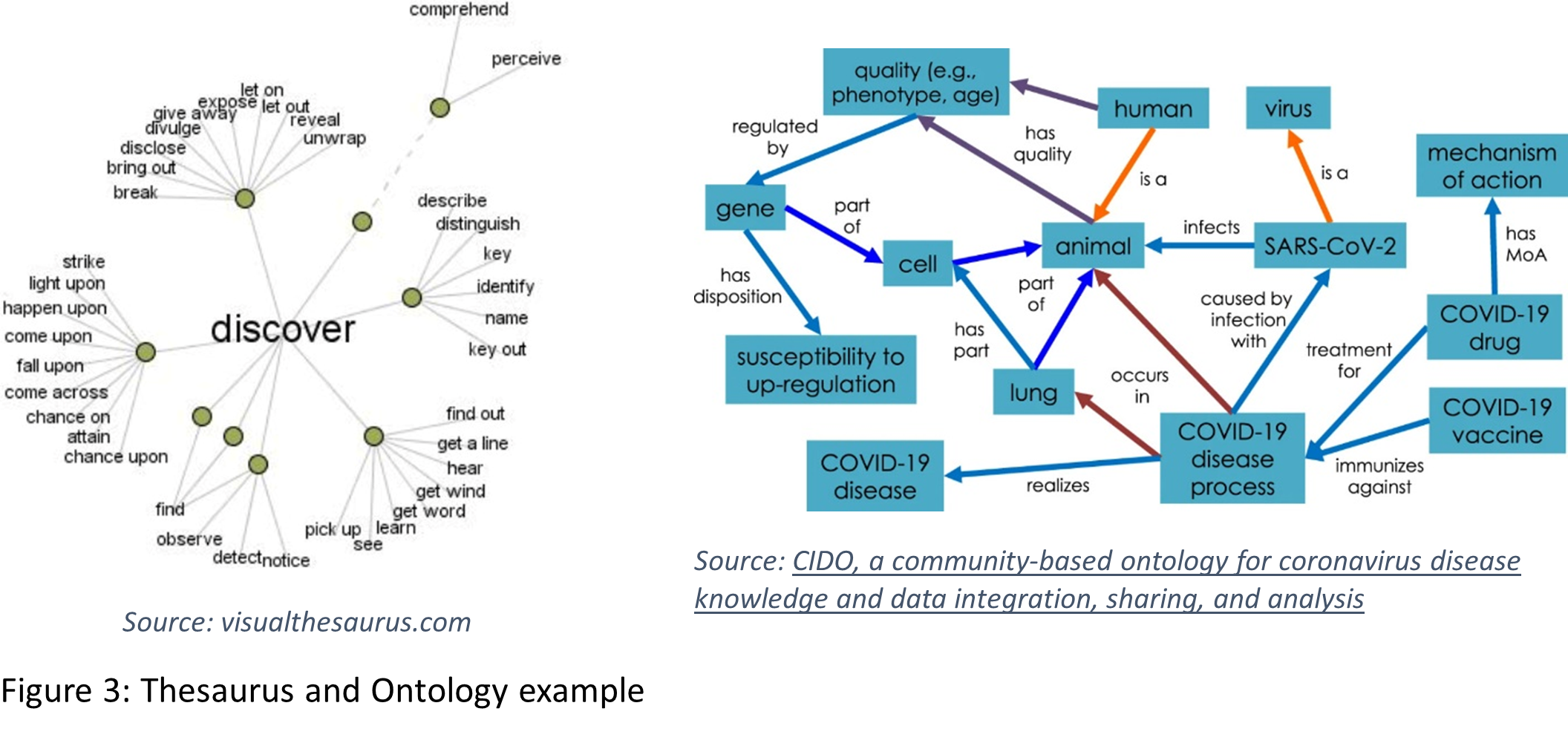 Thesaurus and Ontology Example